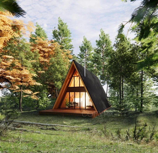 Cabin plans